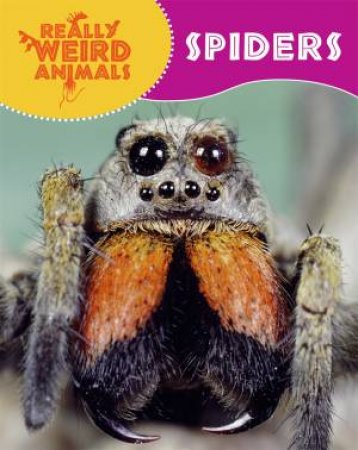 Really Weird Animals: Spiders by Clare Hibbert