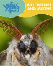 Really Weird Animals Butterflies and Moths