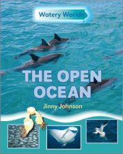 Watery Worlds The Open Ocean