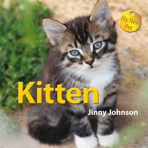 My New Pet: Kitten by Jinny Johnson