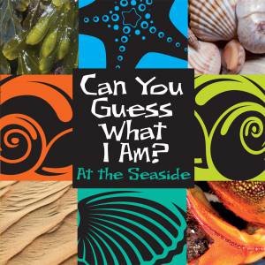Can You Guess What I Am?: At the Seaside by JP Percy