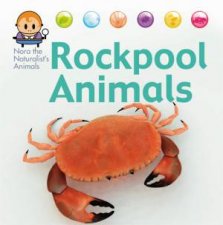 Nora the Naturalists Animals Rock Pool Animals