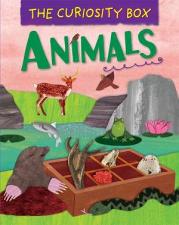 The Curiosity Box: Animals by Peter Riley & Krina Patel