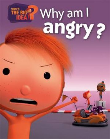 What's the Big Idea: Why Am I Angry? by Oscar Brenifier & Jacques Despres