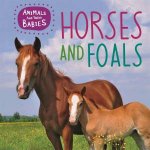 Animals And Their Babies Horses And Foals