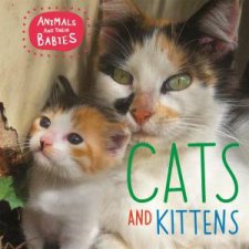 Animals And Their Babies Cats And Kittens