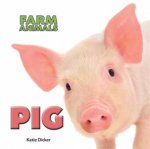 Farm Animals Pig