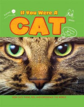 If You Were A: Cat by Clare Hibbert