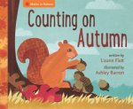 Maths In Nature Counting On Autumn