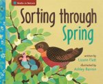 Maths In Nature Sorting Through Spring