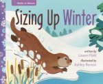 Maths In Nature Sizing Up Winter