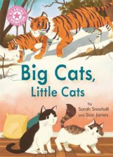 Reading Champion Big Cats Little Cats