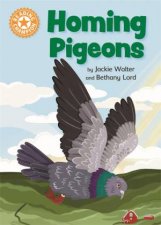 Reading Champion Homing Pigeons