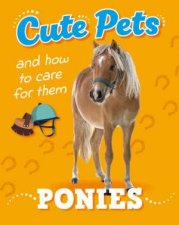 Cute Pets And How to Care For Them Ponies