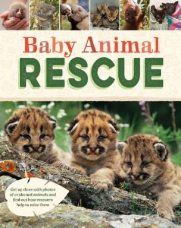 Baby Animal Rescue by Susie Williams