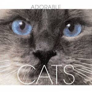 Cube: Adorable Cats by Various