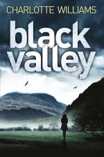 Black Valley A Jessica Mayhew Novel 2