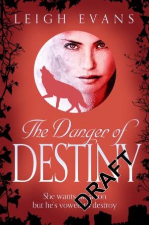 The Danger of Destiny by Leigh Evans