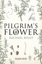Pilgrims Flower