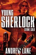 Young Sherlock Holmes 07 Stone Cold