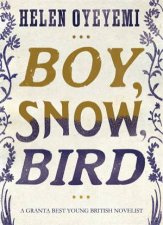 Boy Snow Bird