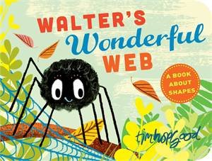 Walter's Wonderful Web by Tim Hopgood