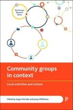 Community groups in context