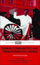 Romani Communities And Transformative Change