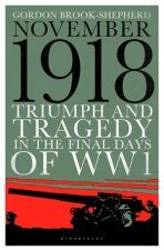 Triumph And Tragedy In The Final Days Of WW1