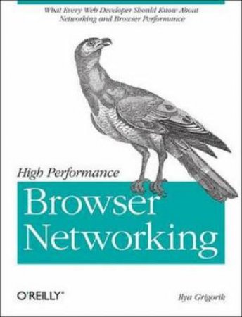 High Performance Browser Networking by Ilya Grigorik