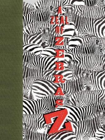 Zeal of Zebras by Studios Woop