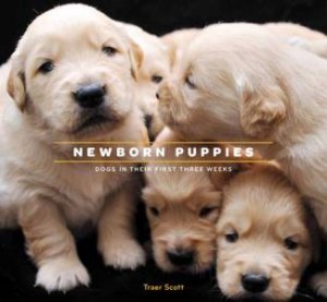 Newborn Puppies by Traer Scott