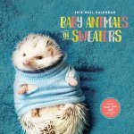 Baby Animals in Sweaters 2018 Wall Calendar