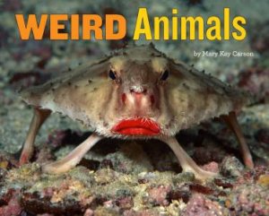 Weird Animals by Mary Kay Carson