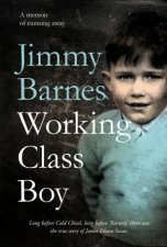 Working Class Boy