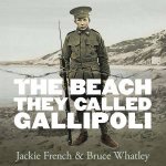 The Beach They Called Gallipoli