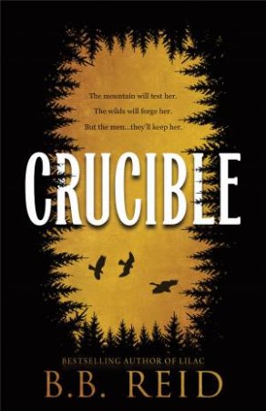 Crucible by B.B. Reid