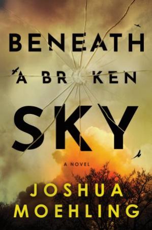 Beneath a Broken Sky by Joshua Moehling