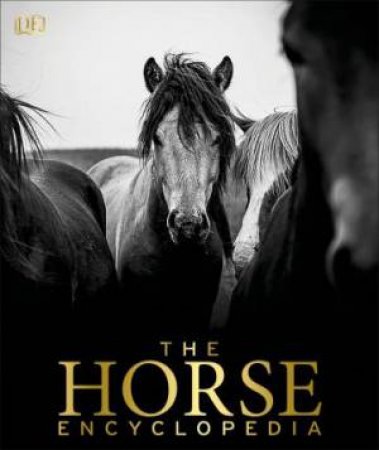 The Equestrian World: Clotten, Peter: 9783961710089: : Books