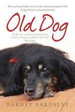 Old Dog
