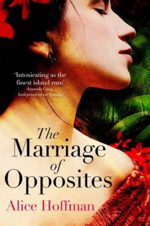 The Marriage Of Opposites by Alice Hoffman