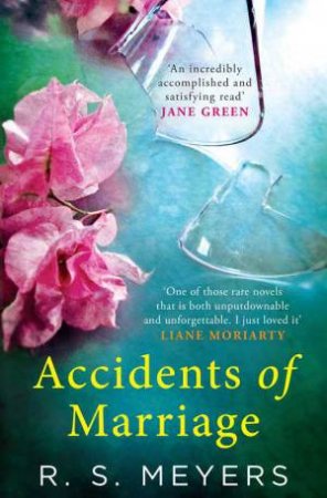 Accidents of Marriage by Randy Susan Meyers