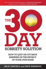 The 30Day Sobriety Solution