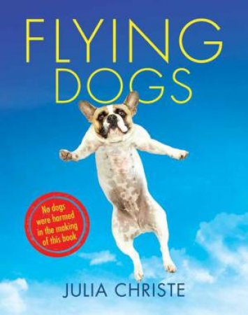 Flying Dogs by Julia Christe