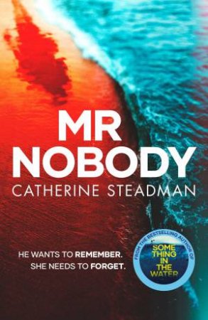 Mr Nobody by Catherine Steadman