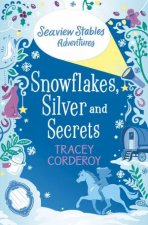Snowflakes Silver And Secrets