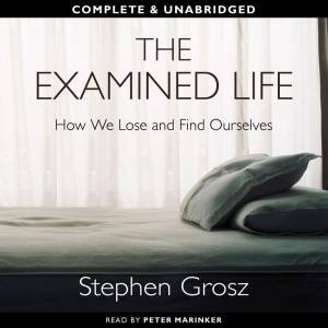 The Examined Life: How We Lose and Find Ourselves 6/321 by Stephen Grosz
