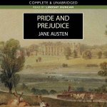 Pride and Prejudice 10730