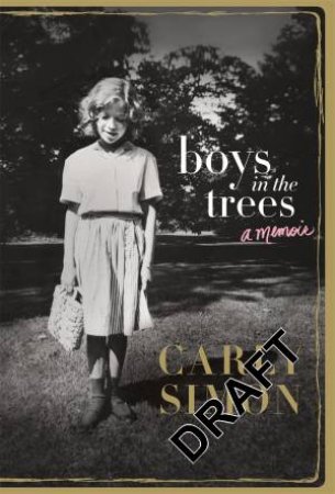 Boys In The Trees by Carly Simon