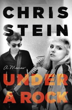 Under A Rock by Chris Stein
